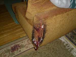Shredded Sofa