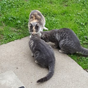 IMG_20171224_093553_323